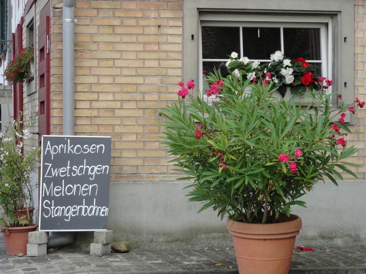 Bed And Breakfast Wegmann Andelfingen Zewnętrze zdjęcie