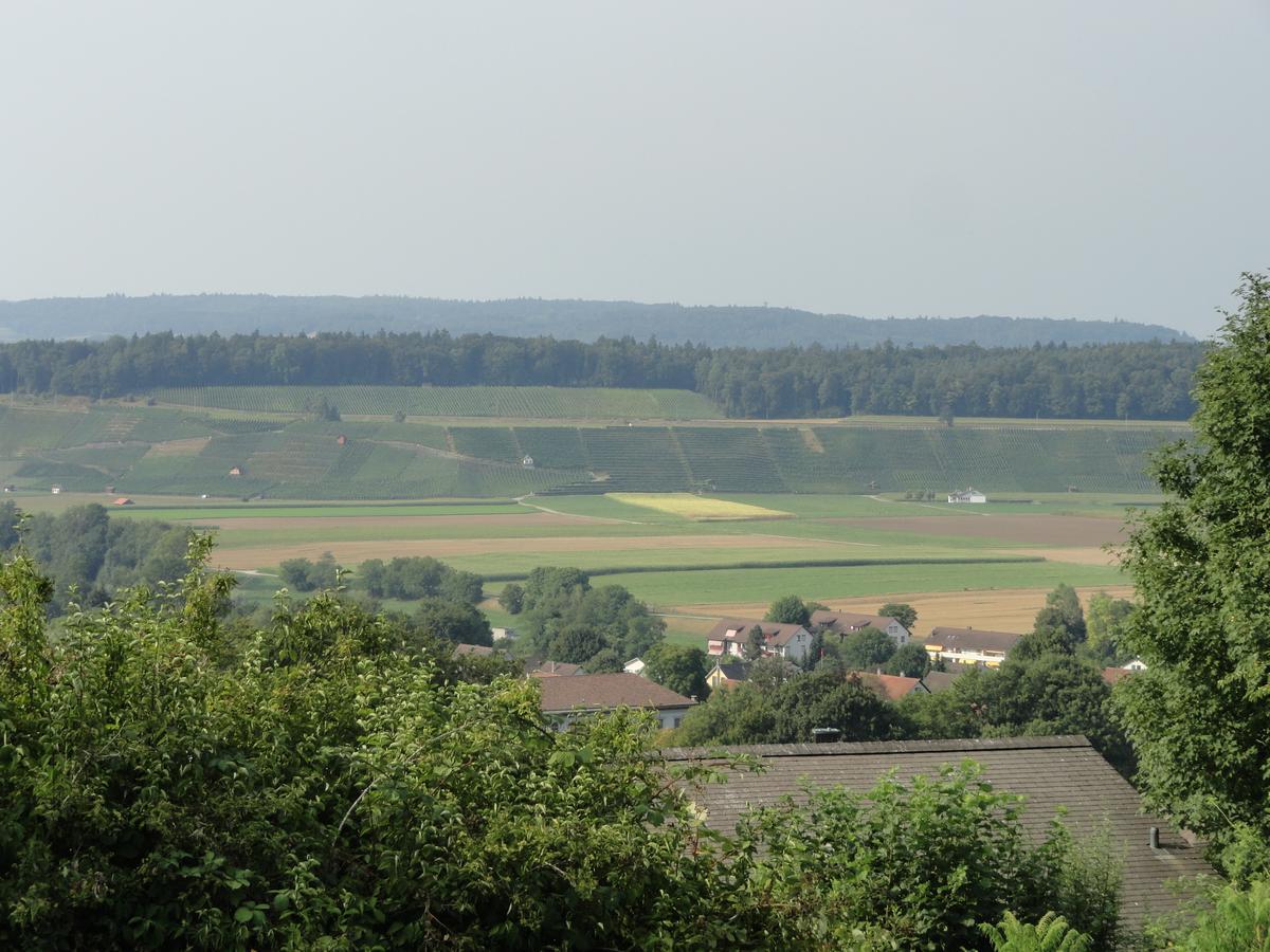 Bed And Breakfast Wegmann Andelfingen Zewnętrze zdjęcie